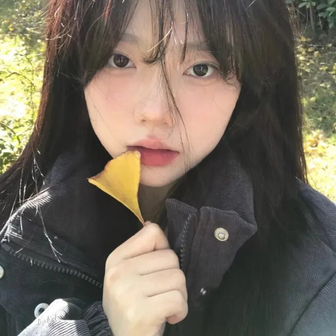 月光光心慌慌 在线观看