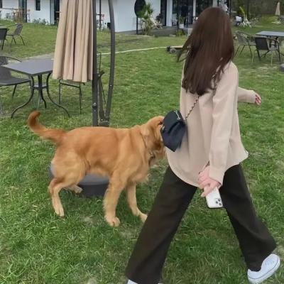 我的冤家住对门 在线观看
